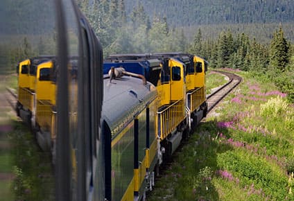 12-Day Denali by Rail Explorer